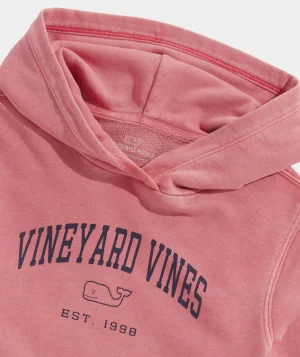 Vineyard Vines Boys' Sun-Washed Hoodie Vineyard Navy Store